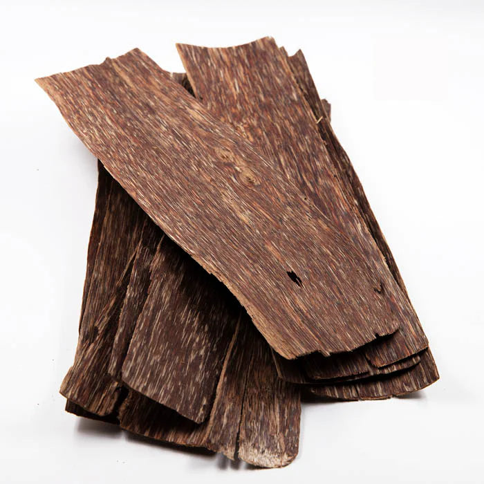 Oud Vietnamita Royal Majesty